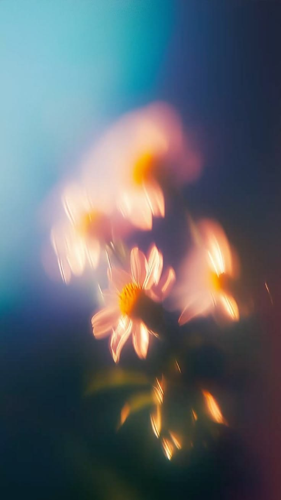 Soft bokeh dreamy pink daisies